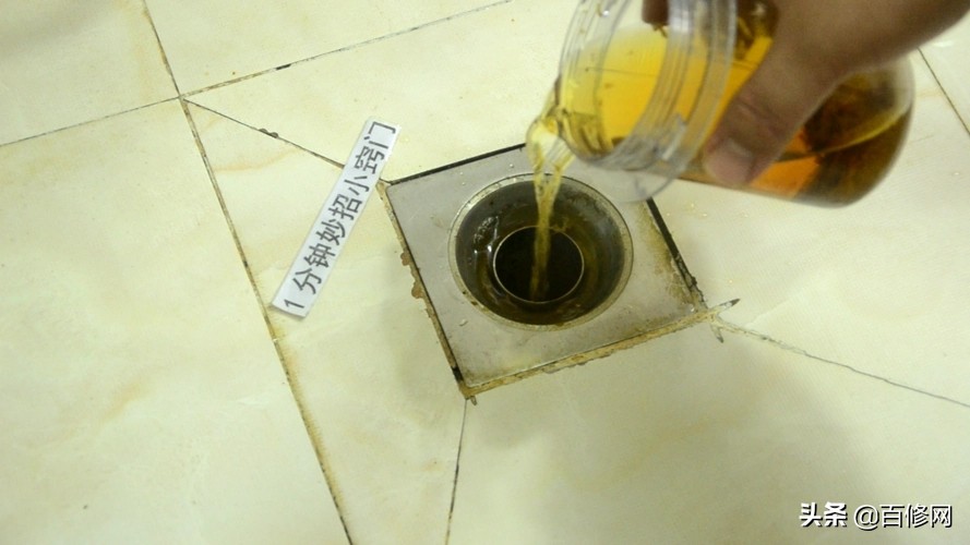 卫生间小飞虫怎么消灭？网友分享了5个实用的方法，亲测有效