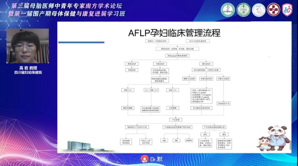 母胎医师中青年专家南方学术研讨会暨围产期母体保健康复进展会议
