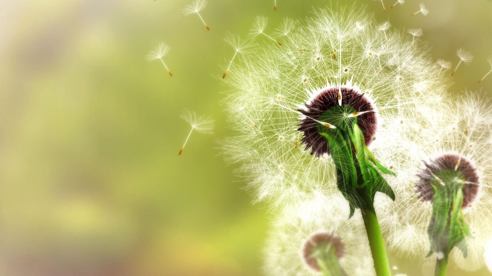 为什么有的人越活越矫情,为什么会有人觉得矫情