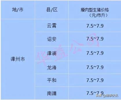 猪价快讯福建各地区猪价,猪价今日福建
