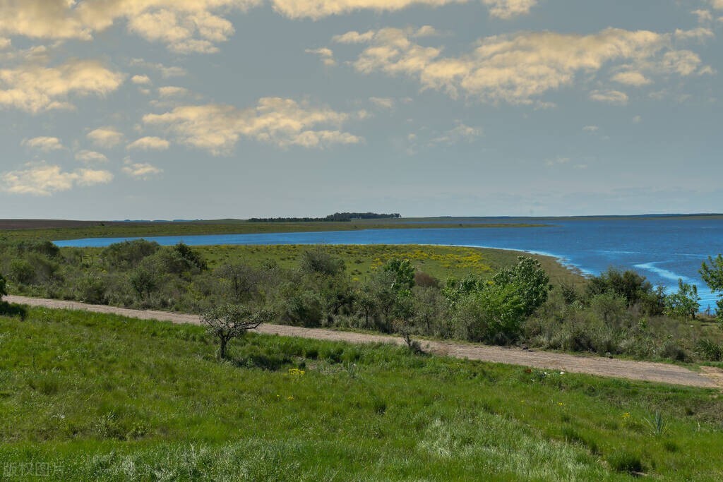 乌拉圭足球到底有多强,乌拉圭足球在世界是什么水平