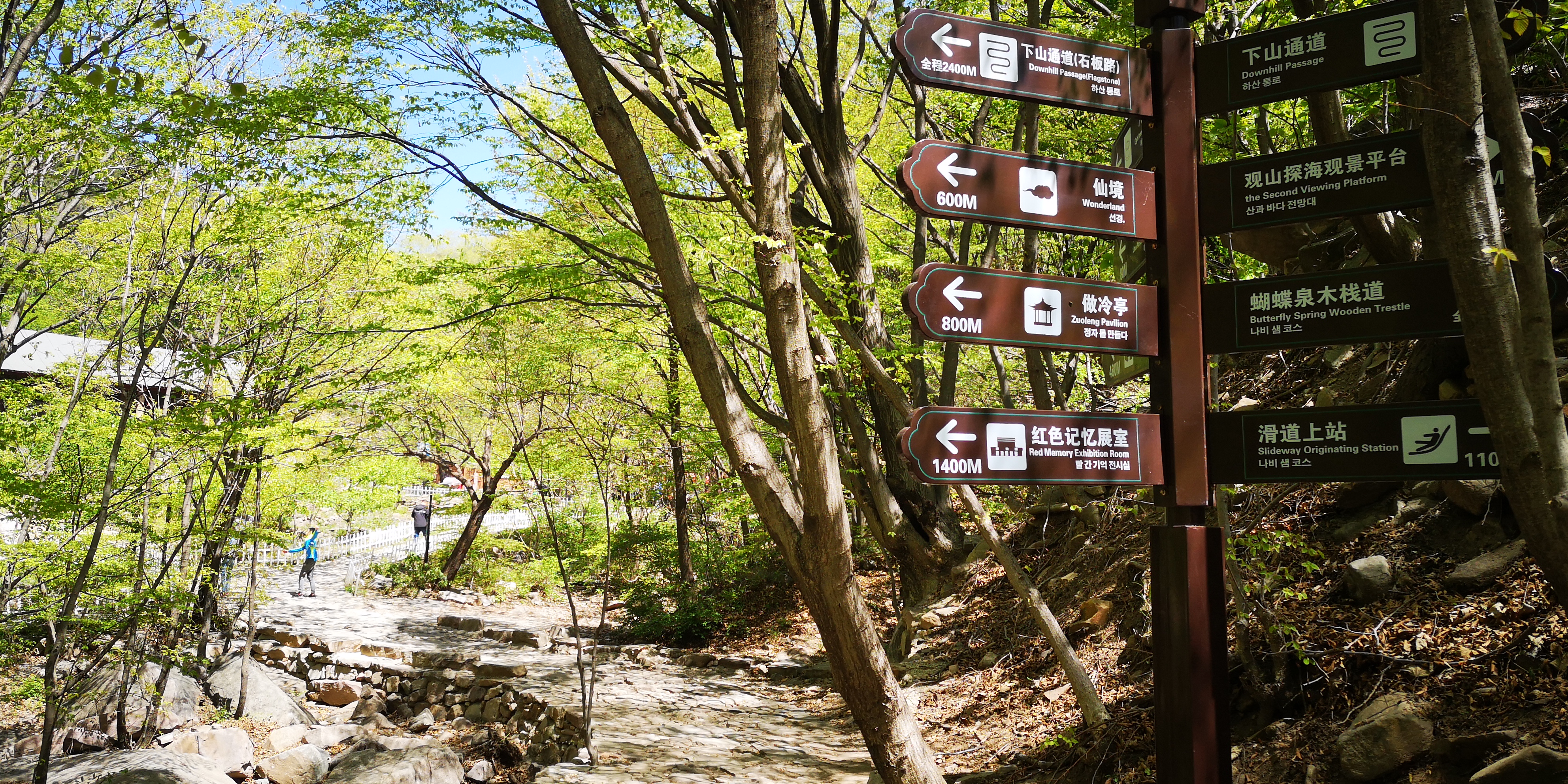 天津梨木台景区值得夏天去的地方,天津蓟县梨木台风景区路线