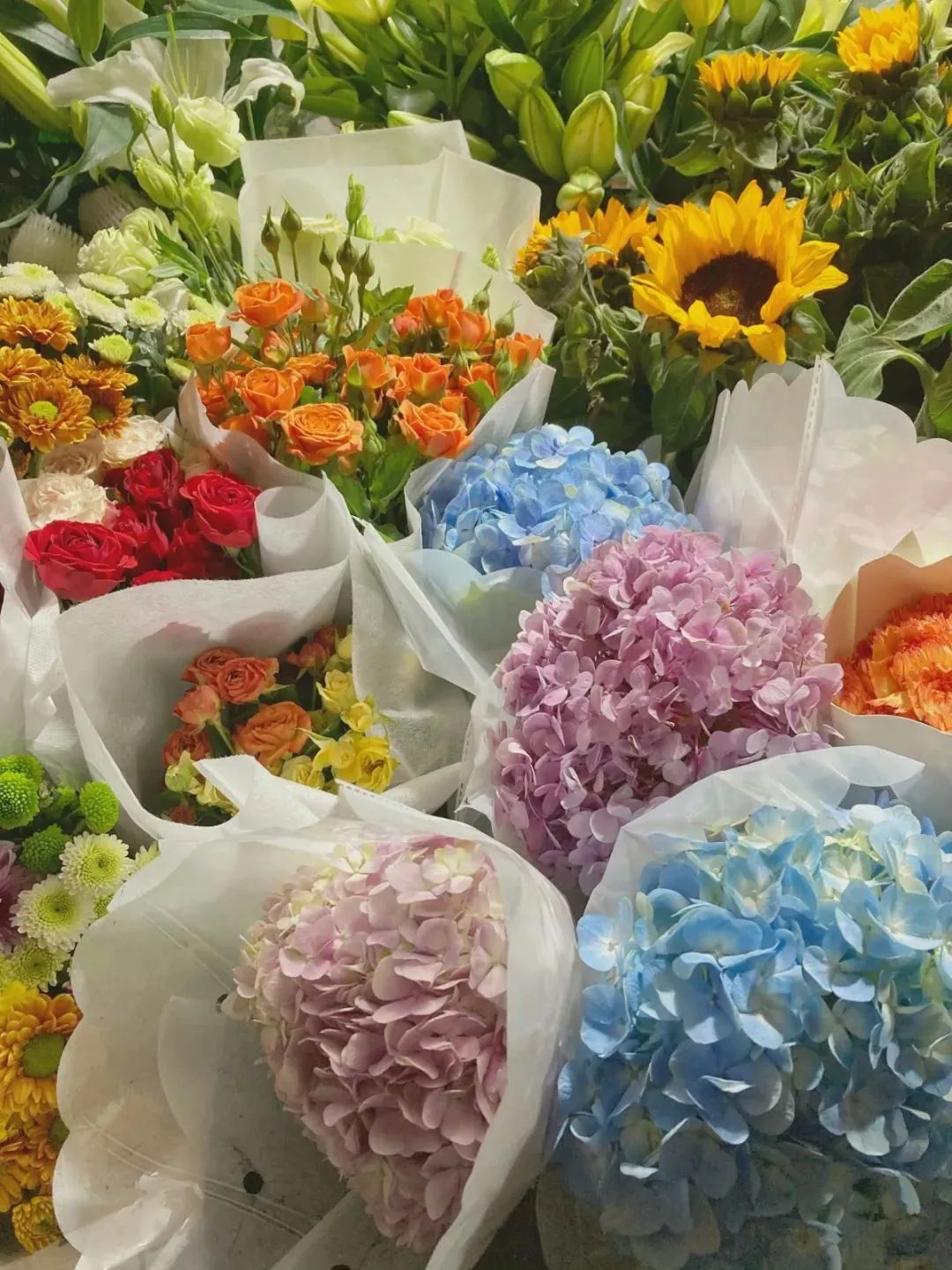 济南春天看花好去处,来济南买金子