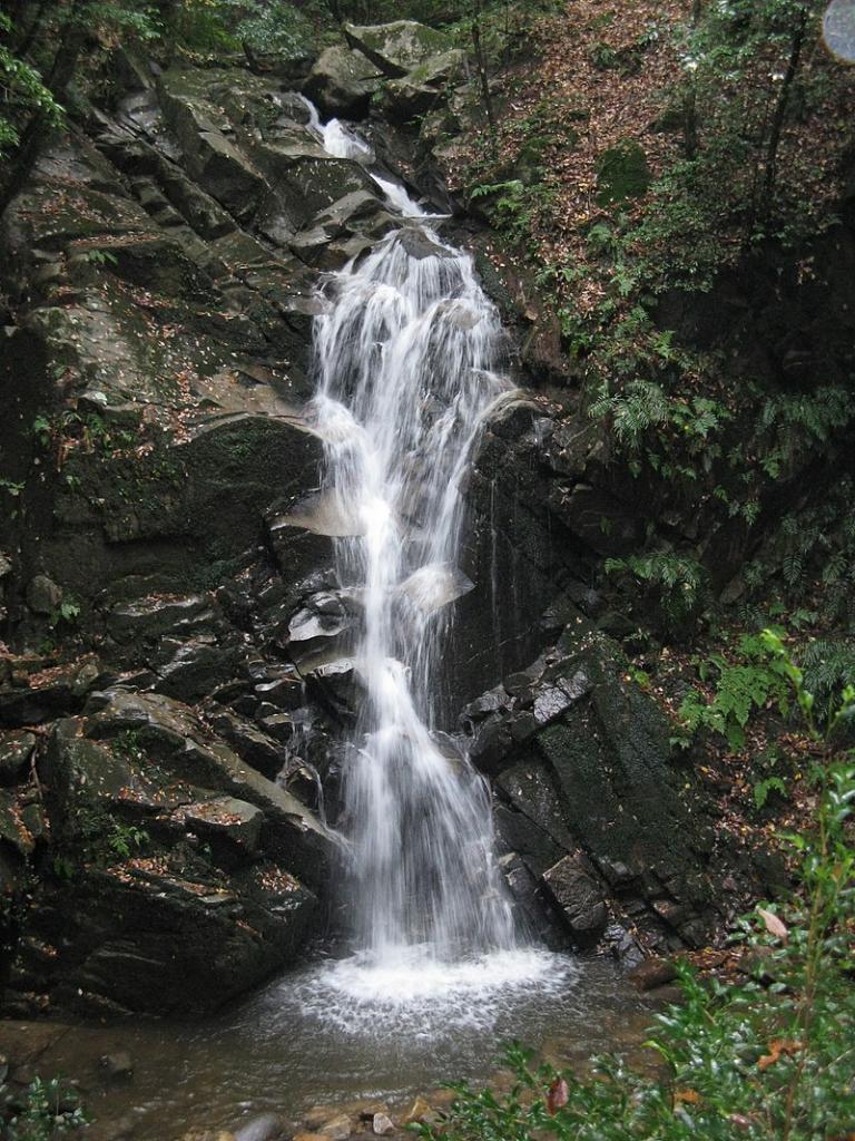 日本奈良法隆寺和东大寺,日本旅游东京奈良攻略视频