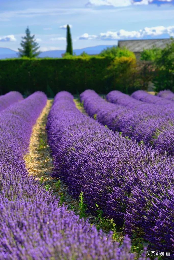 cnn最美旅游胜地,cnn评选中国40景点