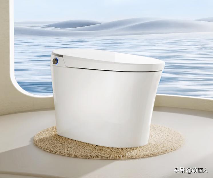 智能马桶是智商税吗能不能洗干净,智能马桶洗屁屁功能是智商税吗