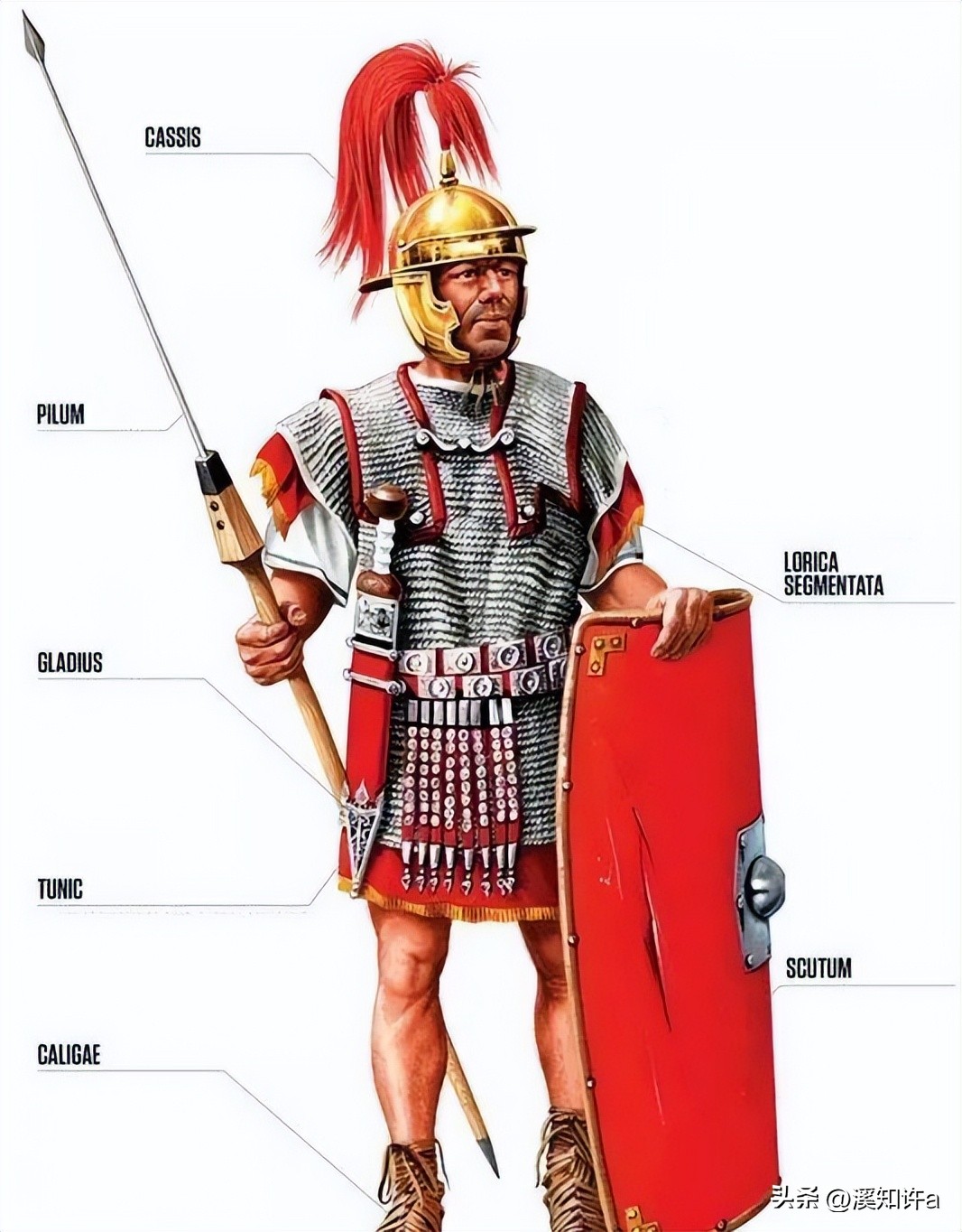 罗马军团的装备,帝国军团罗马装备攻略