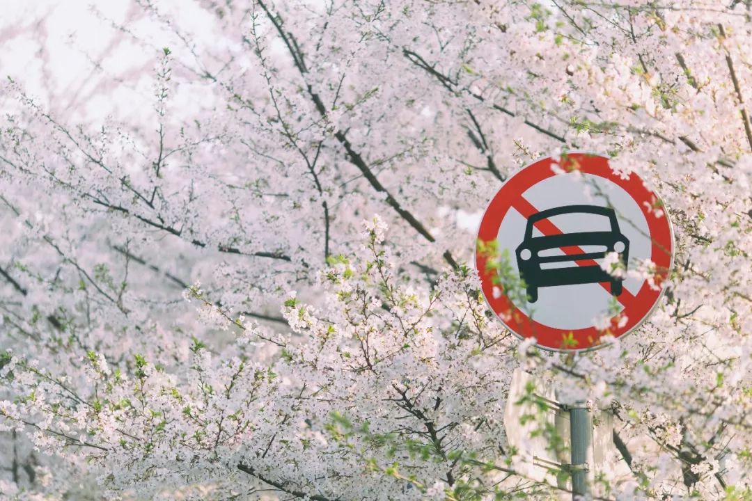 虹口体育场联赛,虹口体育场改造