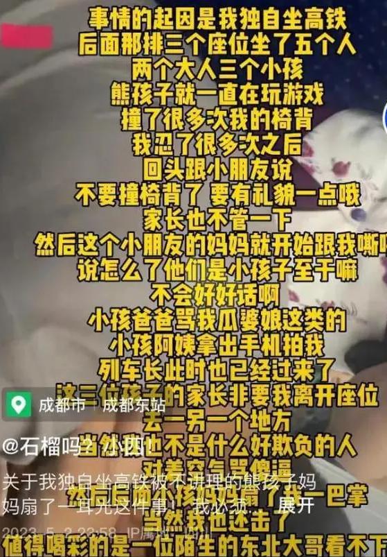 高铁掌掴事件发声处理结果,高铁掌掴事件各打五十大板引争议
