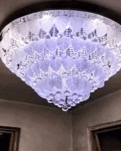 生物老师是女的,生物老师是个女的