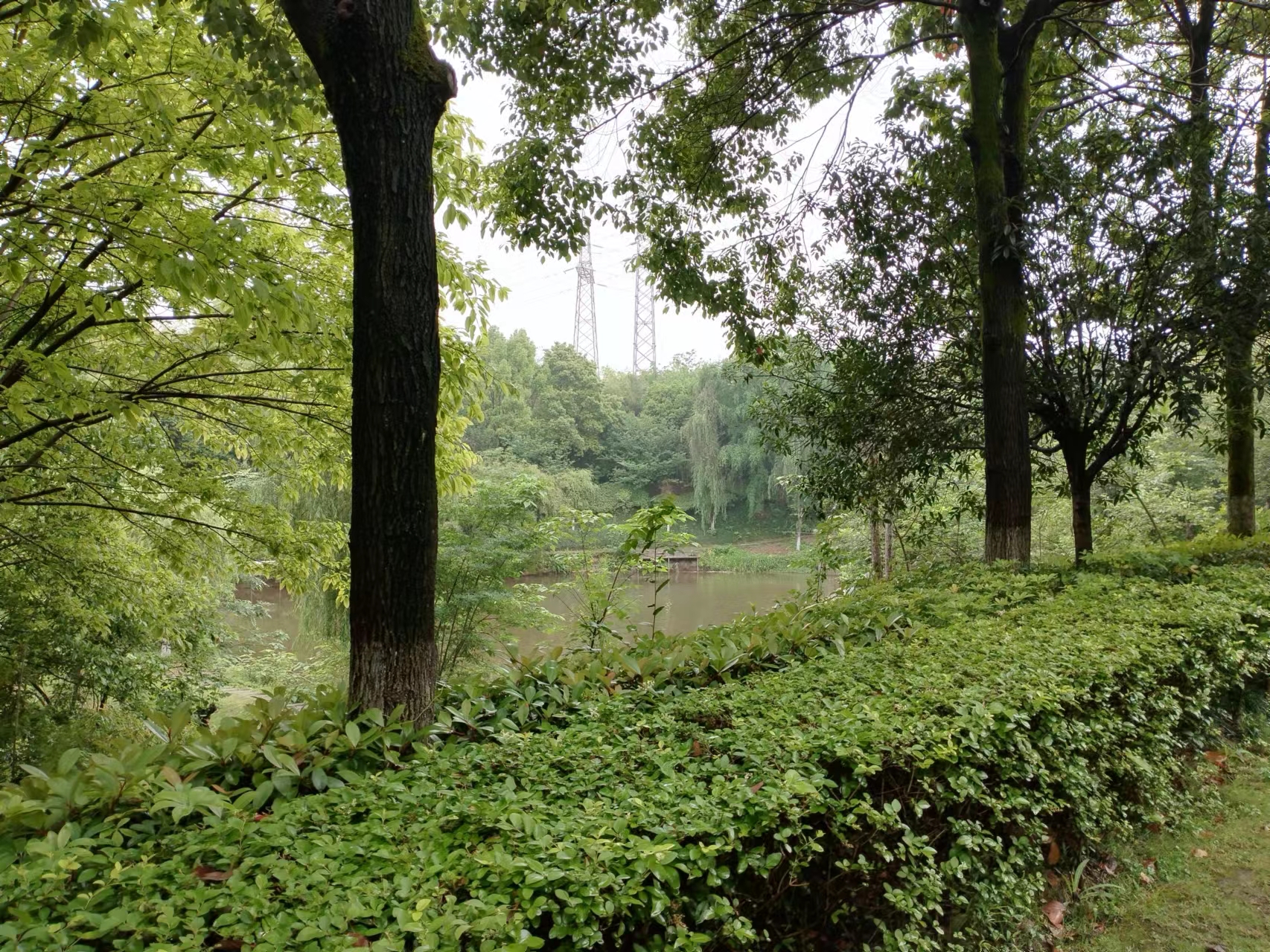 缤果销量如何 (缤果5月份销量)