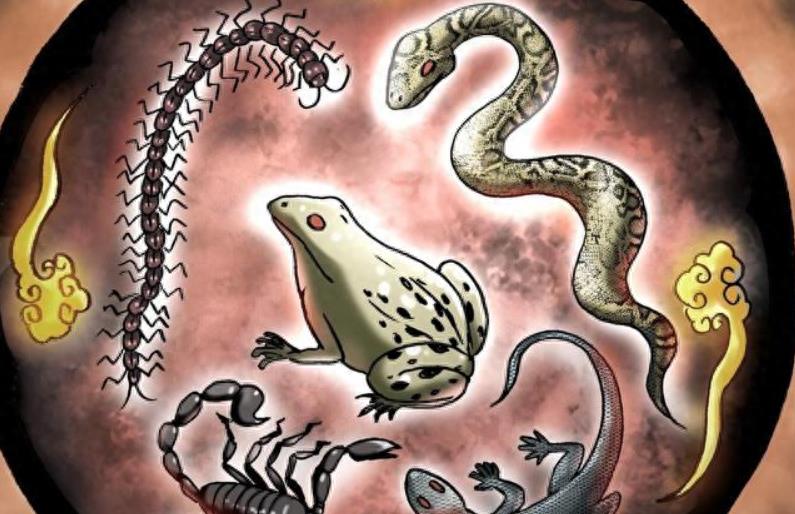 蛊究竟是什么意思,古代养蛊是什么罪