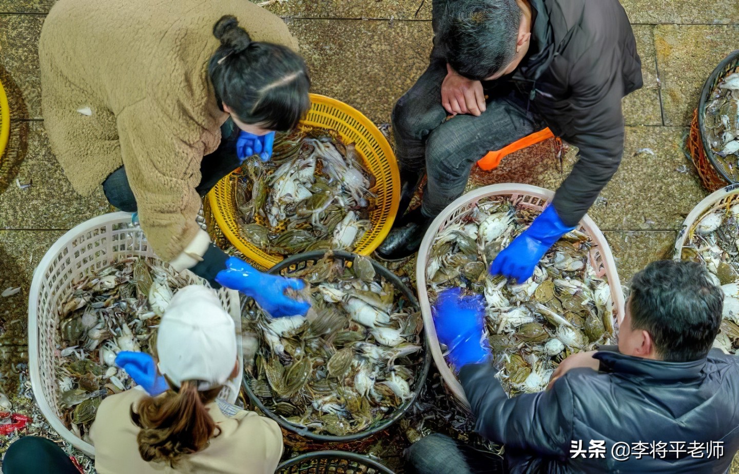 女子被河虾刺到导致截肢,被河虾扎手截肢