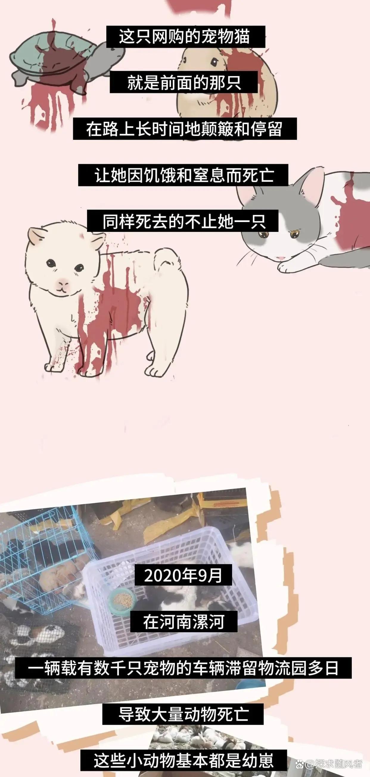 救救我我不想死日语,救救我漫画免费观看