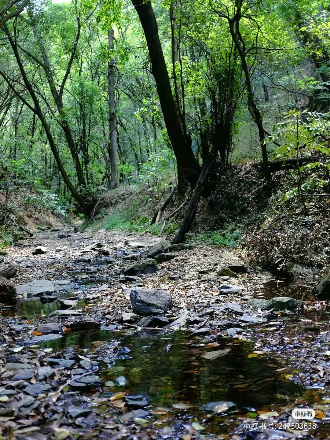 昆明是一个不想离开的城市,昆明是一座来了就不想离开的城市