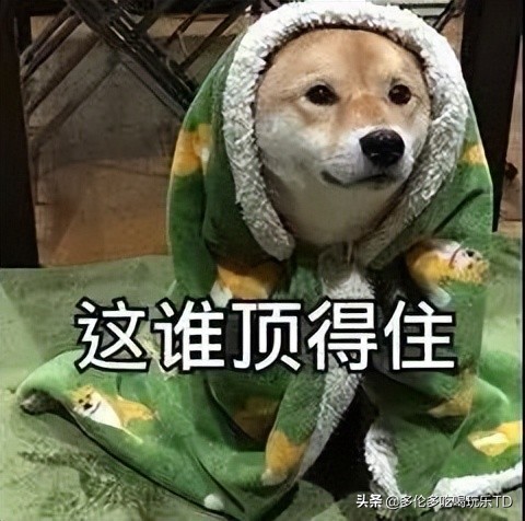 我已经掌握了多伦多最好和最差的Dollarama店名单