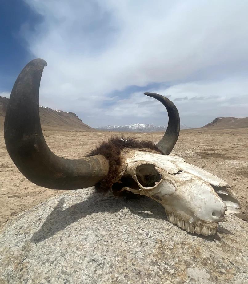 雅丹地貌之旅攻略,西北大环线旅游8天游攻略