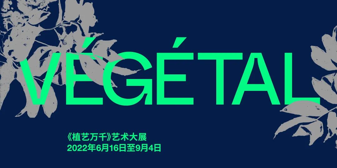TS搜罗|瑞表出口额稳步增长、爱彼推出音乐特别版腕表……