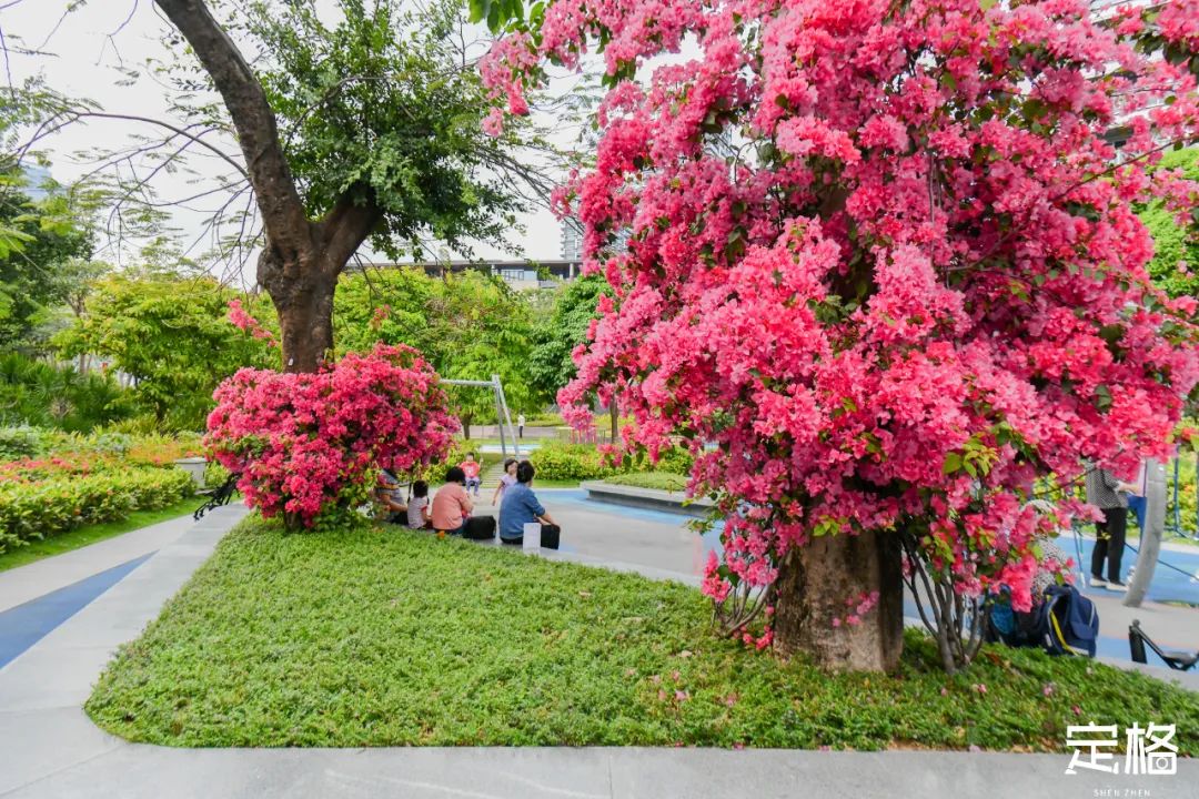 深圳周末休闲放松的好地方有哪些,周末去哪玩深圳推荐几个地方