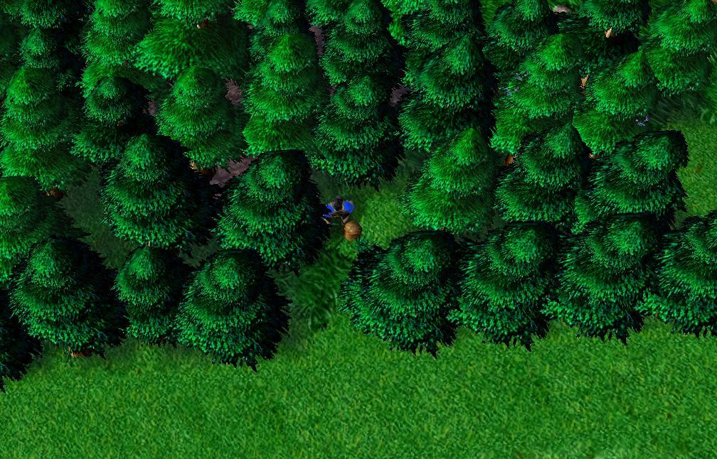 魔兽争霸3开图秘籍,魔兽争霸3流派打法