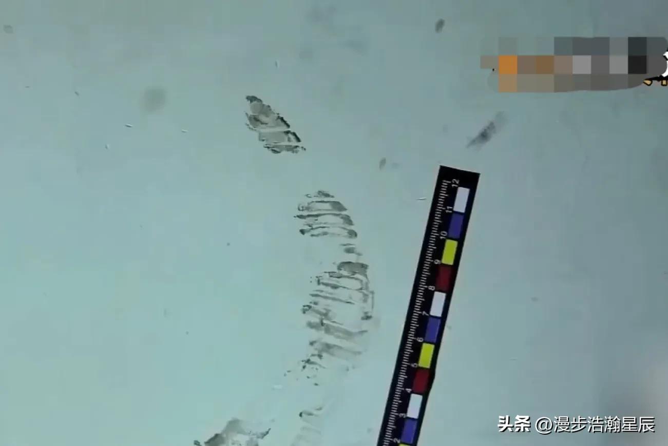 年轻女孩被抛尸河里，凶手竟然犯案之前已经死亡