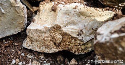 夏布利chablis葡萄酒,莫斯卡托桃红葡萄酒餐酒搭配