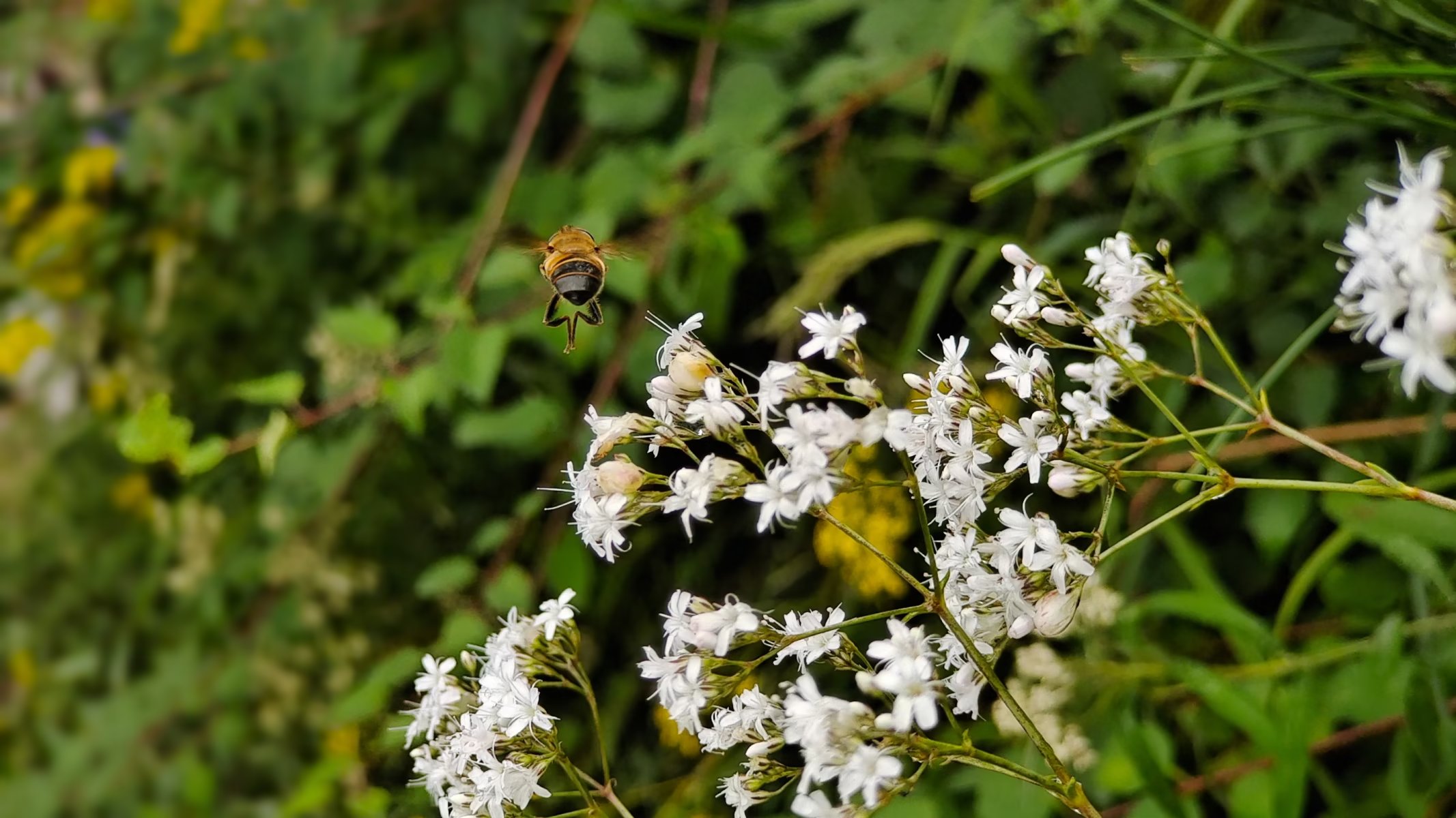 太行山脉徒步穿越,南太行十字岭徒步王莽岭