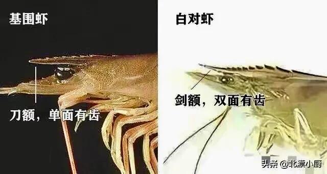 基围虾现在怎么这么便宜,菜场的死基围虾能买吗