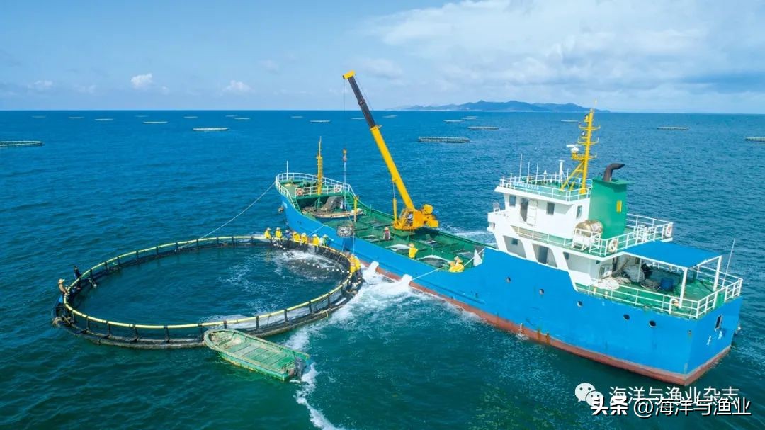 深海养殖网箱加盟,投资深海养鱼前景如何