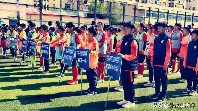 河北张家口青少年足球锦标赛,张家口足球联赛小学组名单