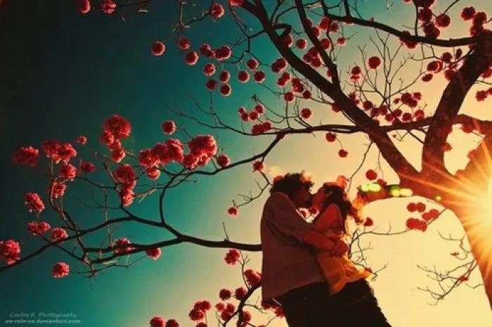 婚姻是个什么东西图,婚姻是一个选项