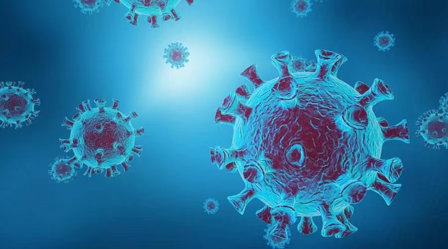 打了两针hpv疫苗会感染hpv病毒吗,两种高危hpv阳性会传染给老公吗