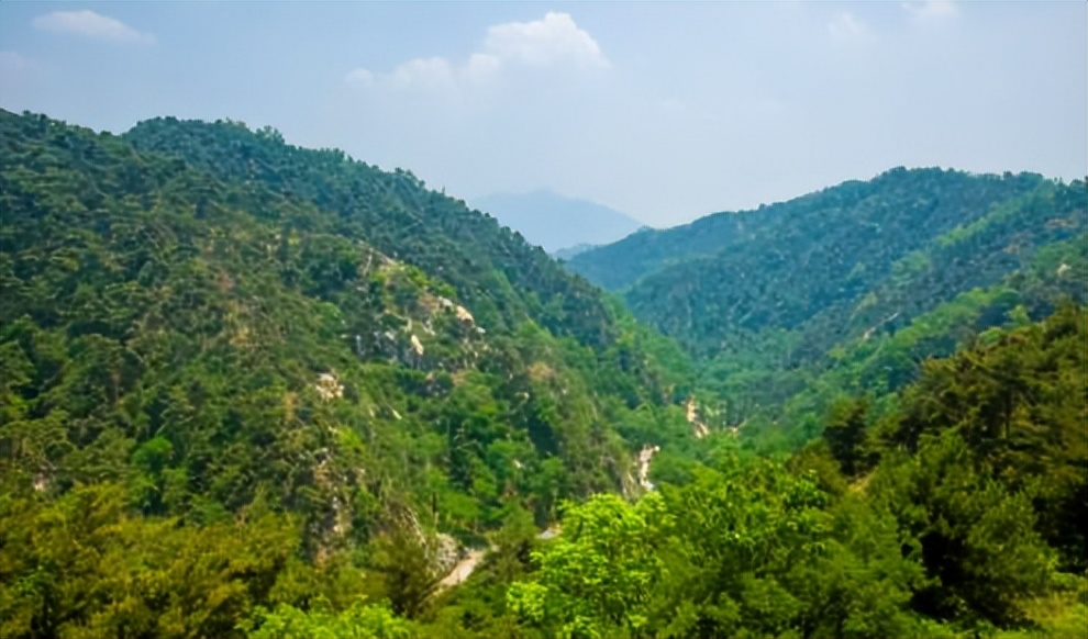 济南夏日森林游玩攻略,藏在济南的夏日度假圣地