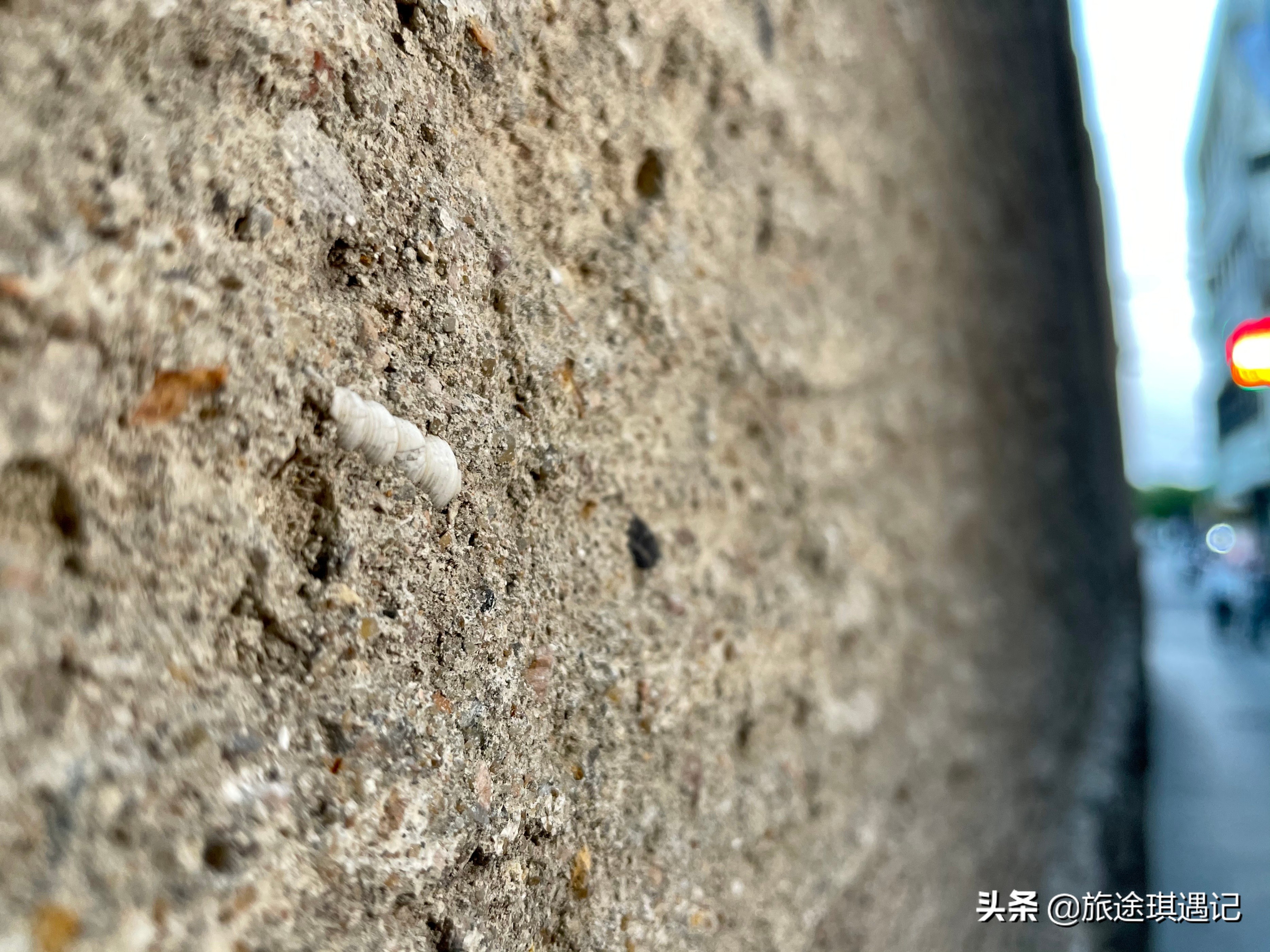 古城一日游推荐,旅游攻略古城