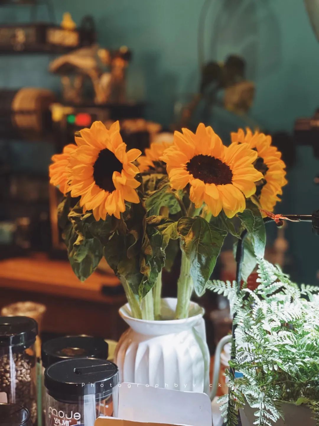 偷偷藏不住厦门取景地集美,偷偷藏不住厦门取景地