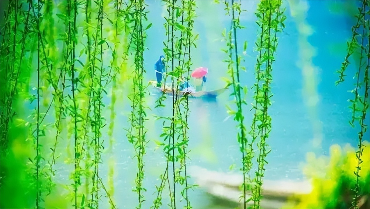 一年花信过满院绿阴多，古诗词里的春天绿阴，这匆忙的时光啊