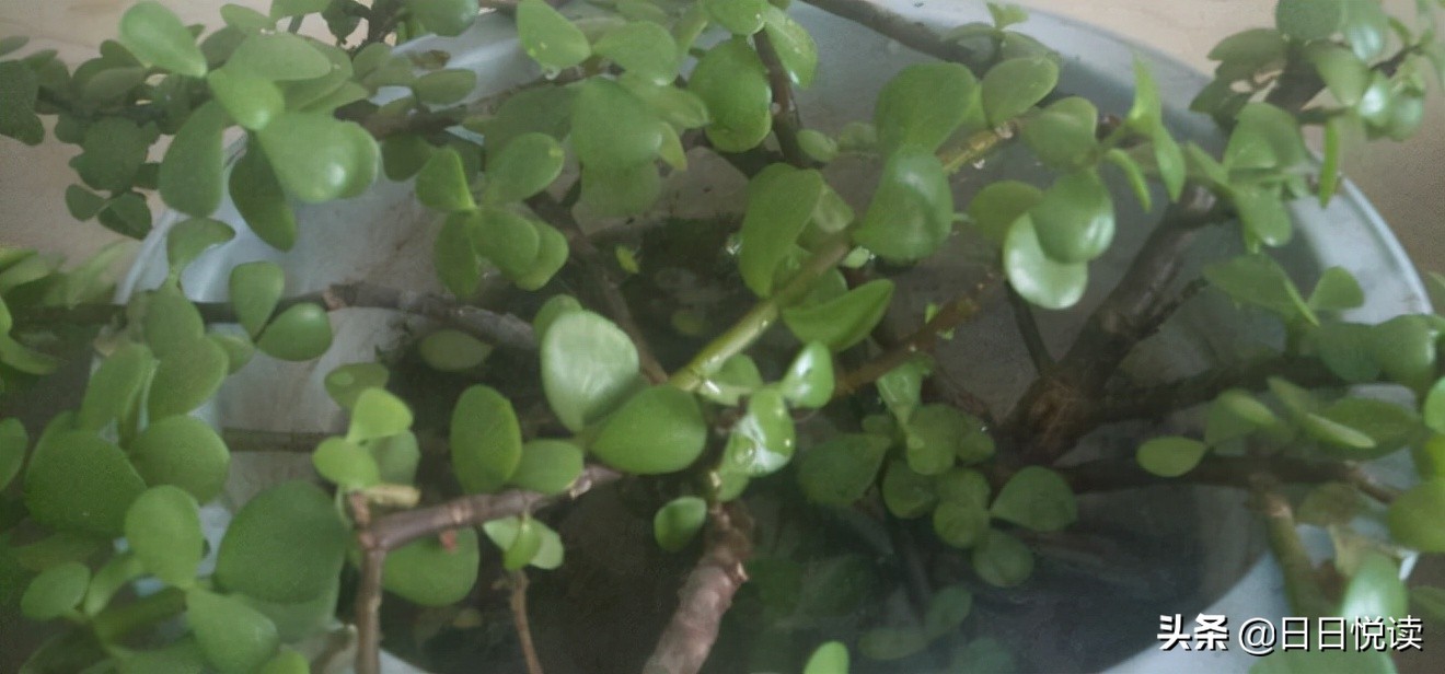 高中时最讨厌的就是数学课,为什么总是听不懂数学课呢