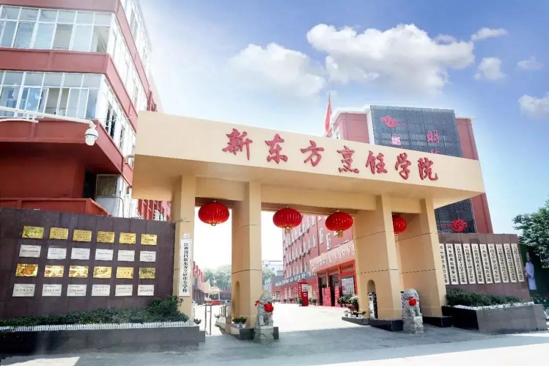 朱虹解读,朱虹讲述