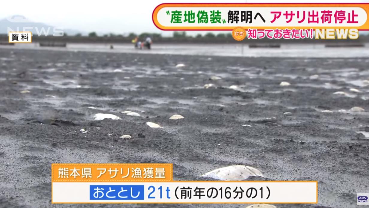 在日本捡蛤蜊,日本蛤蜊中国