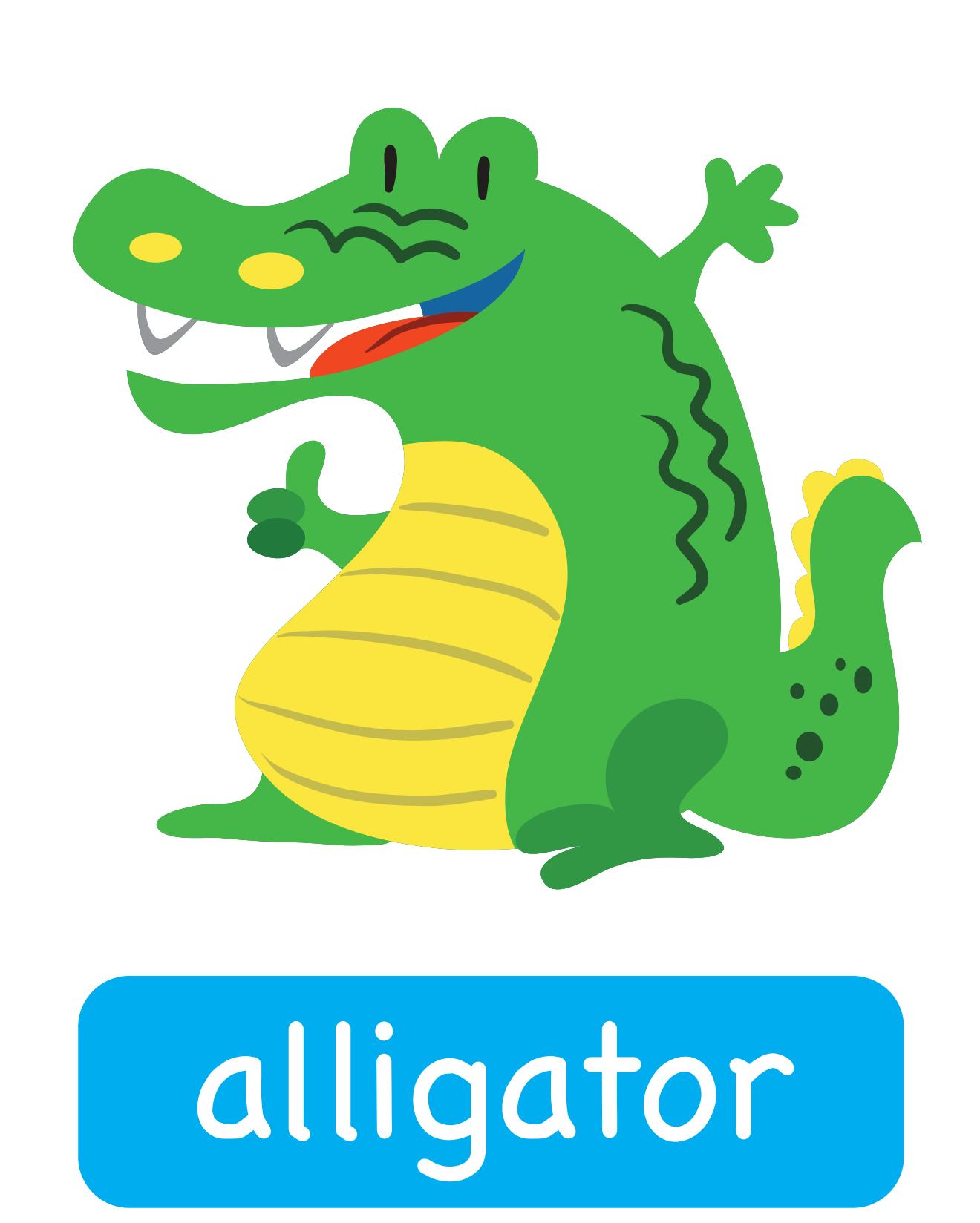 图说英语单词：高清动物类卡片，一图一单词