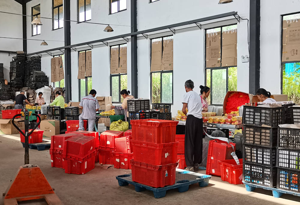 乡村振兴电商带动群众致富,安徽含山电商