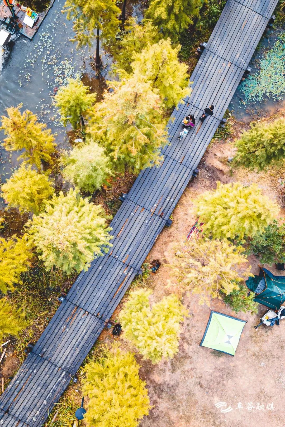 秋日暖阳骑行绿道,骑车绕城绿道值得打卡的推荐