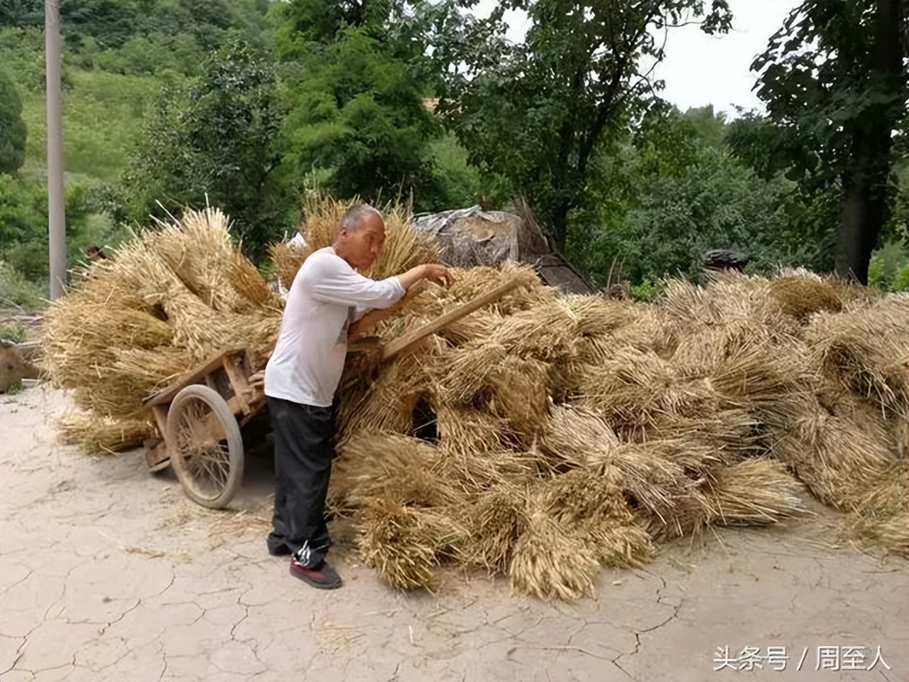 生产队里的那些事,生产队的那些事儿