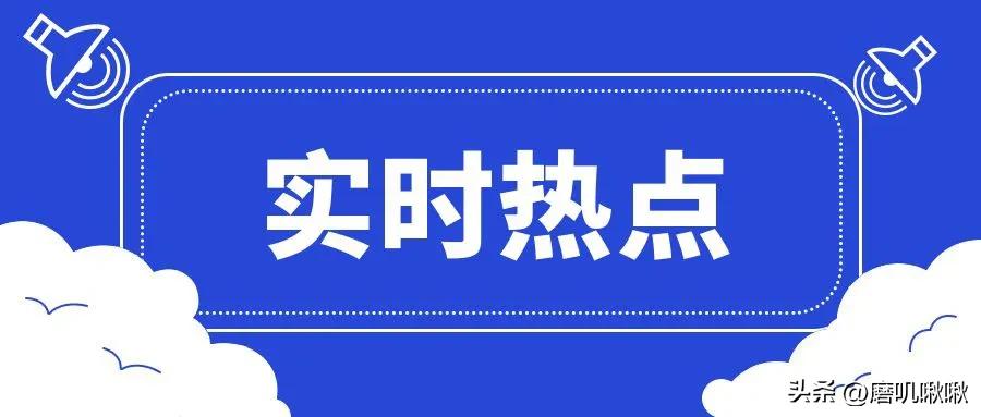 娱乐圈你觉得哪位明星演技最好,娱乐圈公认的演技派