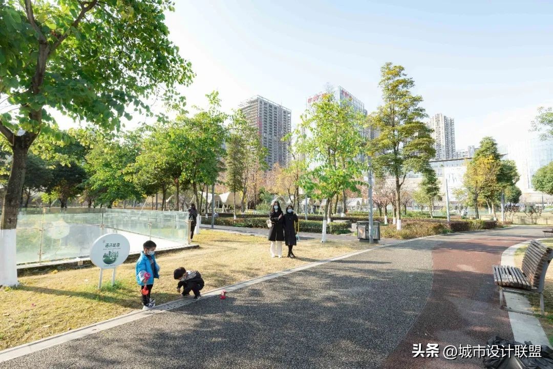 成都值得一游的公园,夏季成都宝藏公园