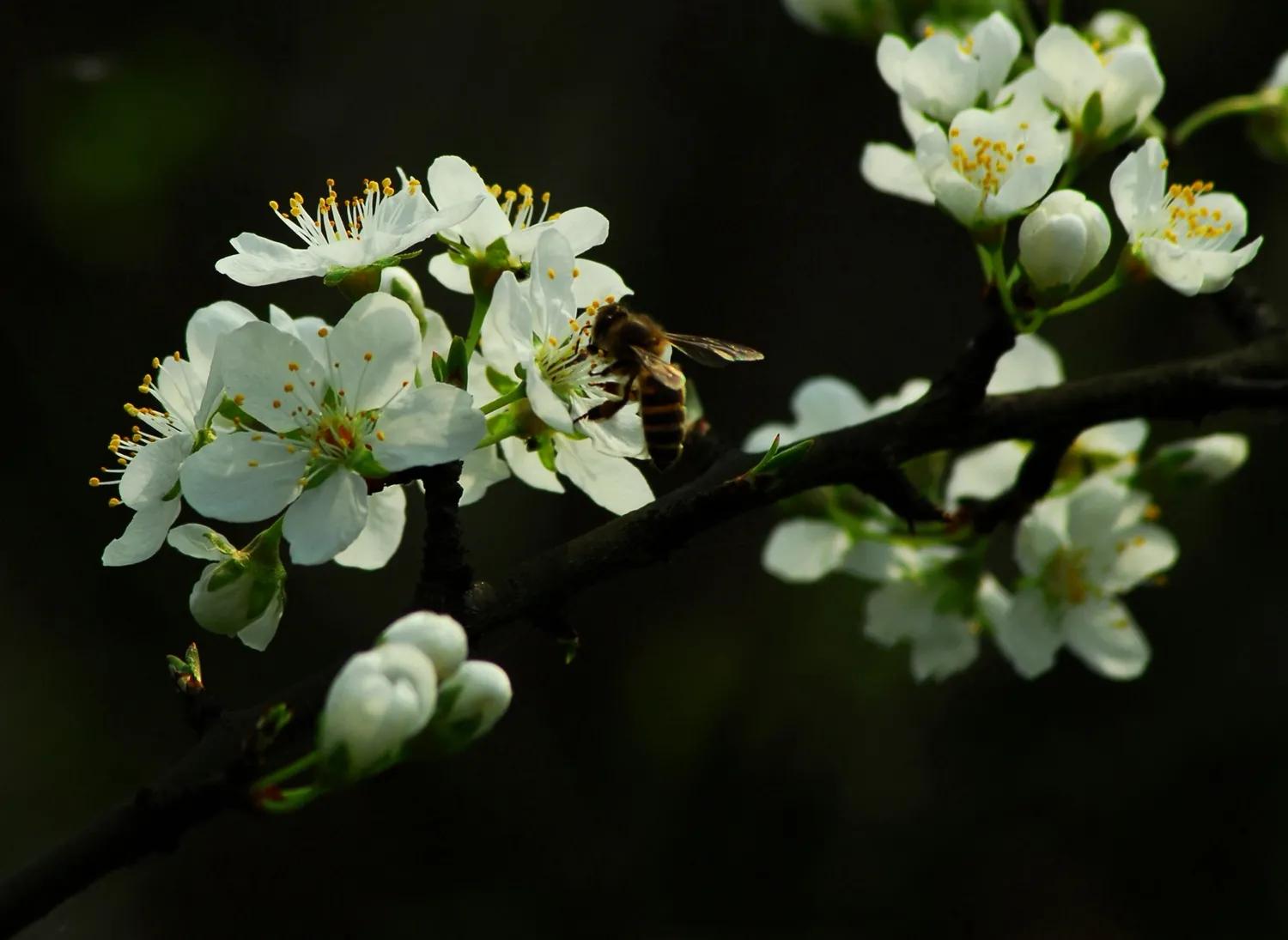江津艾坪山公园,天河区爱情山