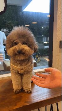 女代驾花了1800多,叫了个女代驾花了1800元