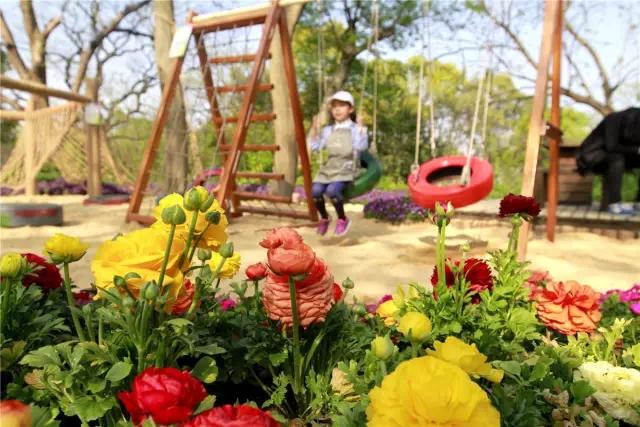 园林景观设计的五大环节,干货园林植物景观设计之空间设计