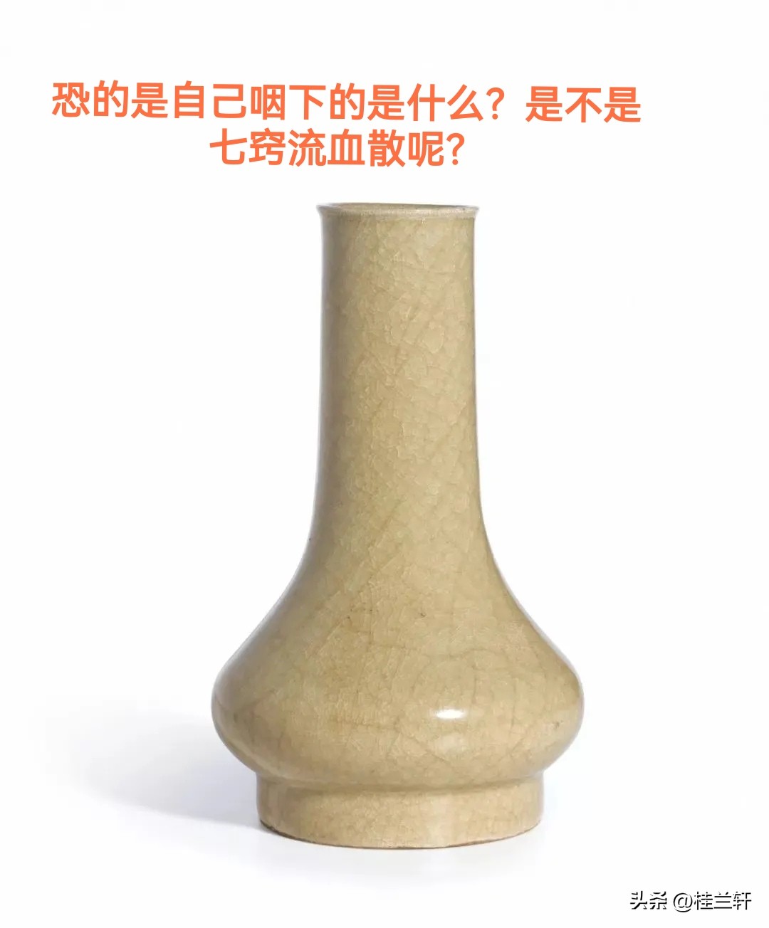 以暴制暴的小说推荐,以暴制暴免费阅读全文