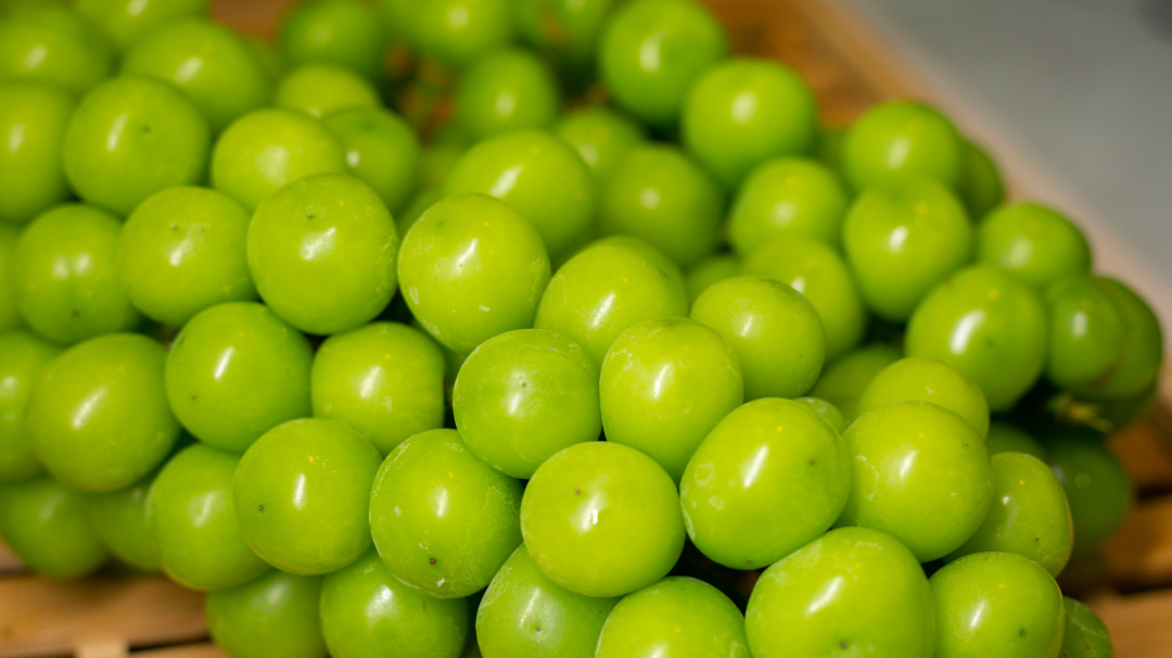 吃喝玩一体的天然温泉酒店,银河天然温泉洗浴和汗蒸